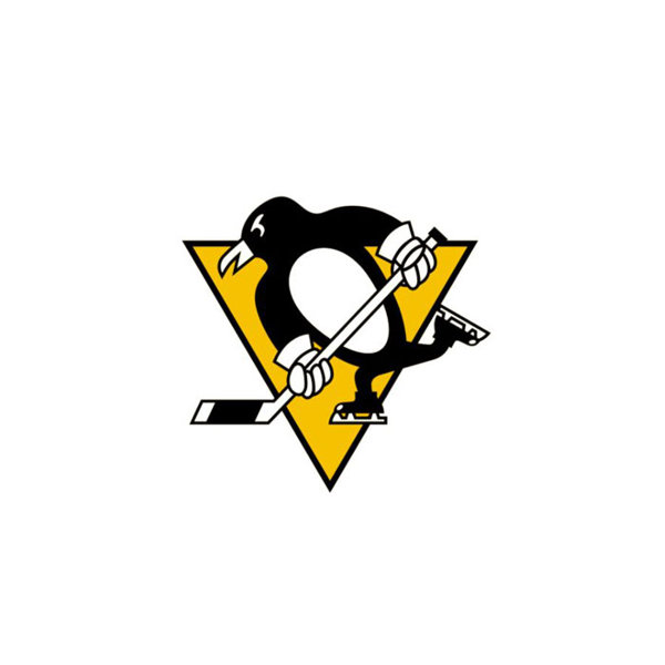 Pittsburgh Penguin Picture - Bilscreen